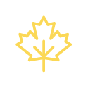 maple leaf icon
